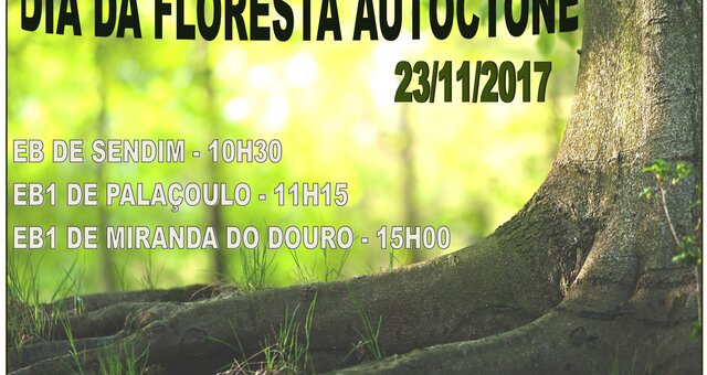 cartaz_2017_floresta