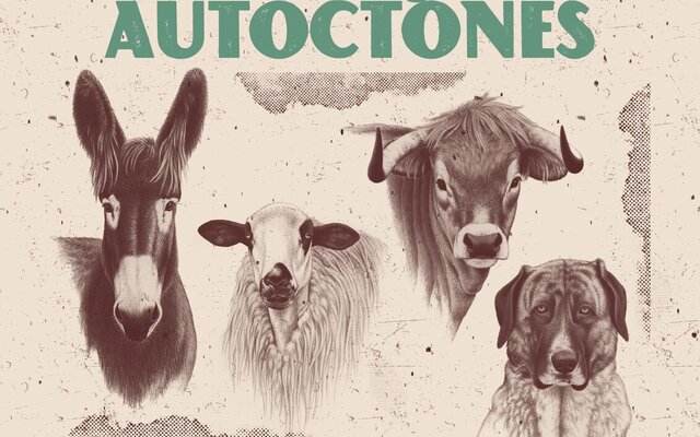 cartaz_encontro_page_0001