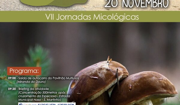 cartaz_vii_jornadas_micologicas_