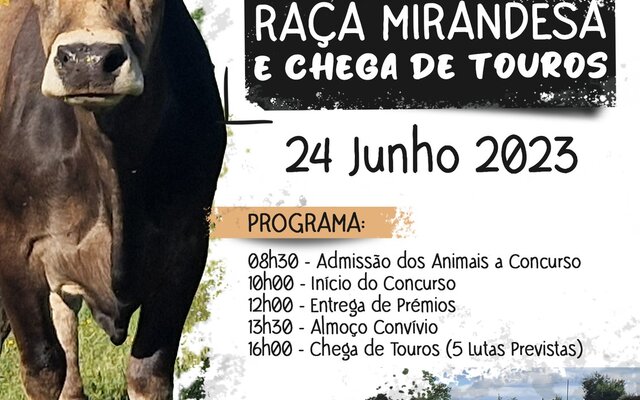 cartaz__concurso_concelho_de_bovinos_de_raca_mirandesa_