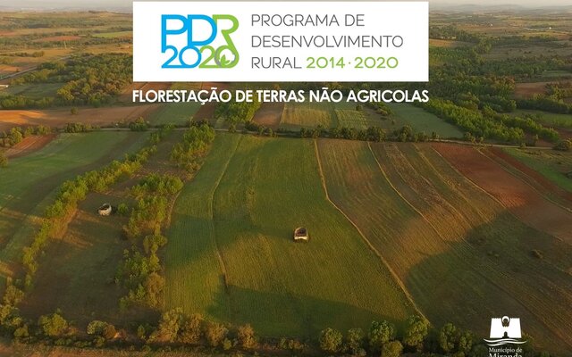 florestacao_de_terras_nao_agricolas