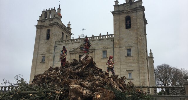 48966401 558141367997388 904755395141042176 n  1  1 640 340