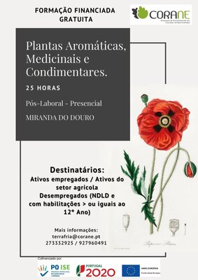 plantas_aromaticas_miranda_do_douro_58466_