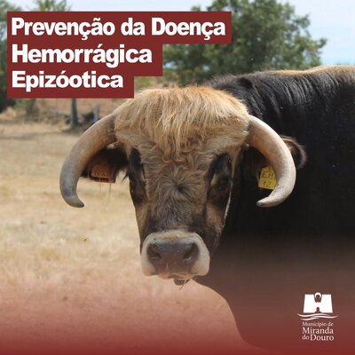 prevencao_da_doenca_bovinos