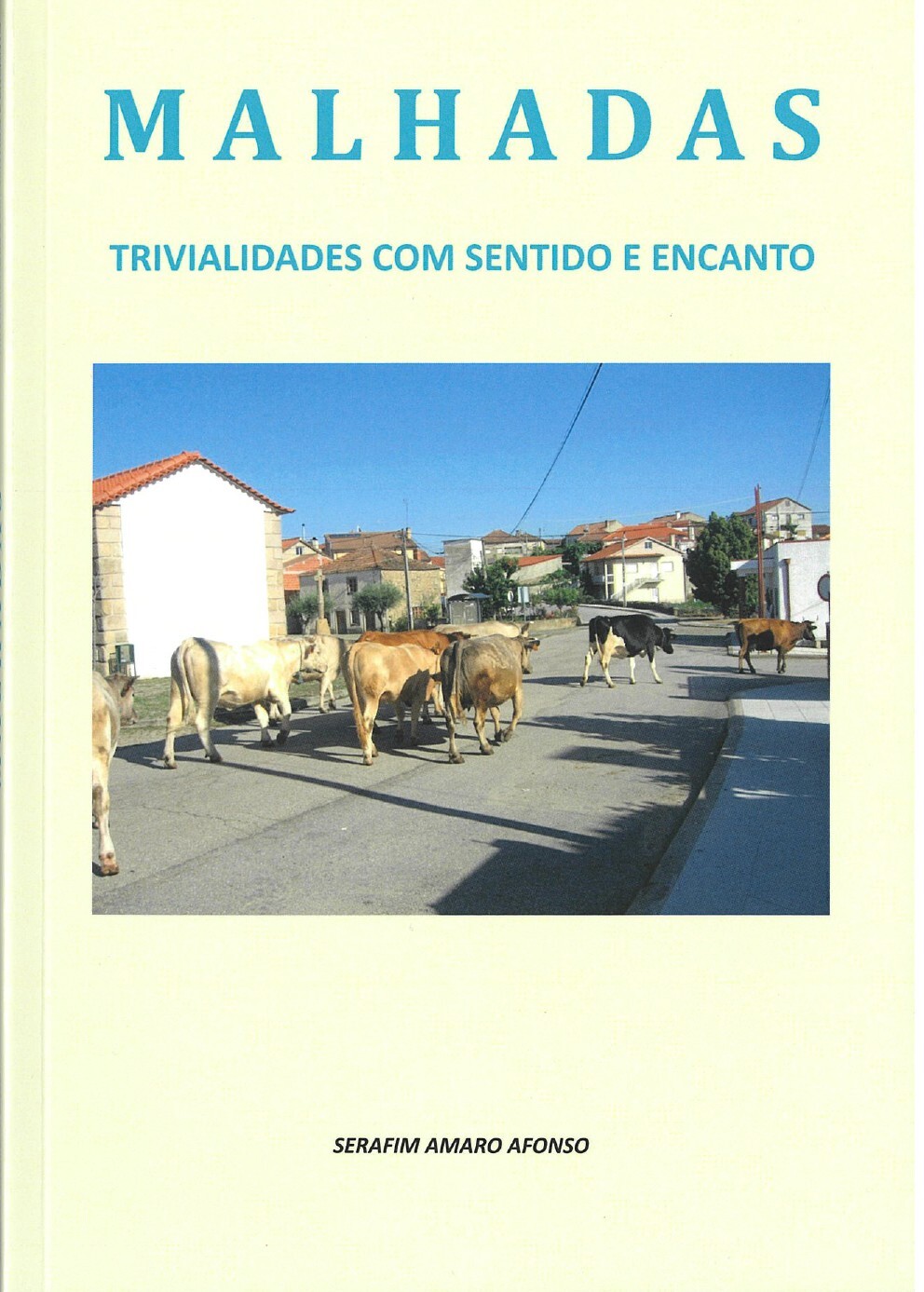 Malhadas - Trivialidades com Sentido e Encanto 