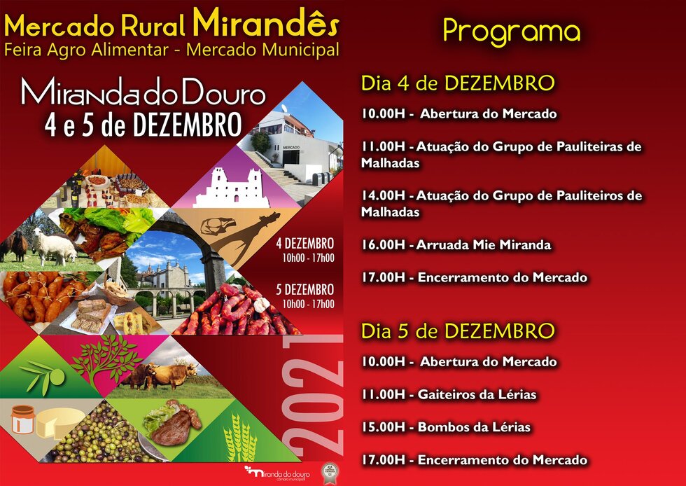 flyer programa