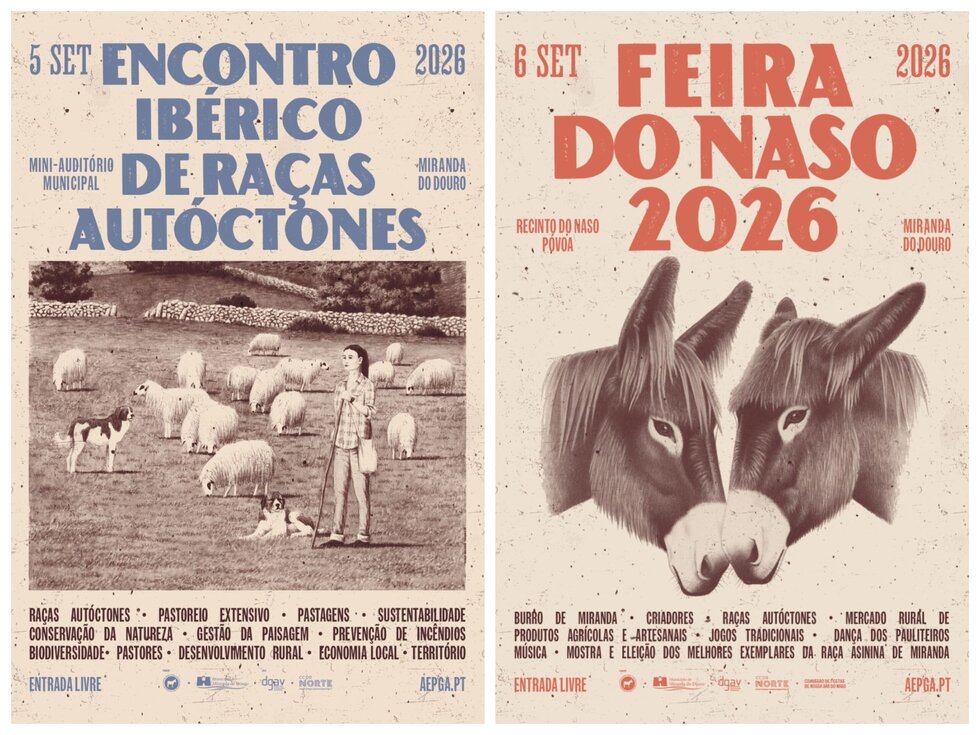 eventos burros